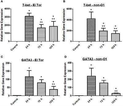 Characterization of the Immune Response to Vibrio cholerae Infection in a Natural Host Model